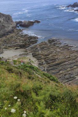 Etrafı yeşilliklerle çevrili kayalık kıyı şeridi sakin okyanusa bakıyor.