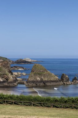 Kayalık oluşumları, durgun okyanus suları ve berrak mavi gökyüzünün altındaki yemyeşil manzaralı kıyı manzarası.