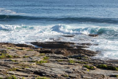 Dalgaların kayalara çarptığı kayalık bir kıyı şeridi.