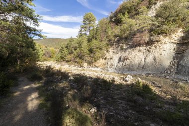 Berrak bir gökyüzü altında yemyeşil ve kayalık arazilerle çevrili kuru bir nehir yatağı olan sakin doğal bir manzara, doğanın dingin güzelliğini gözler önüne seriyor.