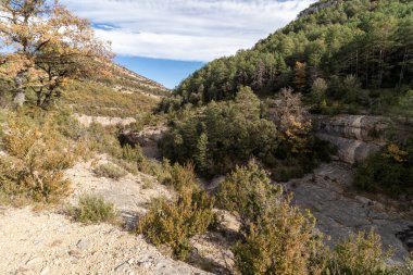 Bereketli yeşilliklerle çevrili kayalık bir arazinin sakin manzarası, berrak bir gökyüzünün altında, doğanın dokunulmamış güzelliğini sergiliyor.