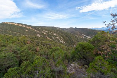 Berrak bir gökyüzünün altındaki ormanlık bir sıradağın sakin manzarası doğanın dokunulmamış zarafetini sergiliyor.