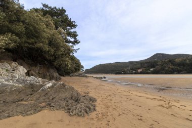 Huzurlu bir kumlu sahil, kayalık oluşumları ve bulutlu bir gökyüzünün altında uzak tepeleri olan orman kıyı şeridi boyunca uzanır.