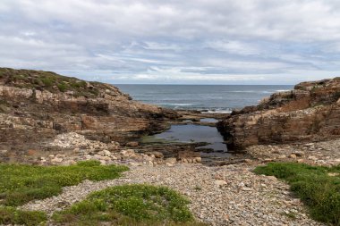 Gelgit havuzları, yeşil bitki örtüsü ve bulutlu bir gökyüzünün altındaki sakin okyanus manzarası ile kayalık kıyı manzarası.