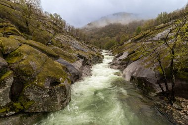 Paiva nehri arouca geopark, Portekiz 'de yosun ile kaplı kayaların arasından akar ve nefes kesici bir doğal manzara yaratır.