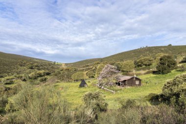 Bir tarlada yamaçta küçük bir ev var. Gökyüzü bulutlu ve güneş parlıyor