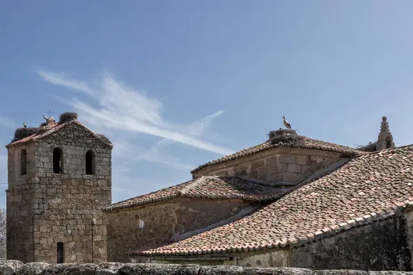 Beyaz leylekler, eski bir taş kilisenin çatısına yuva yapıyor. Mavi gökyüzünün altında, bulutlu çan kulesi var.