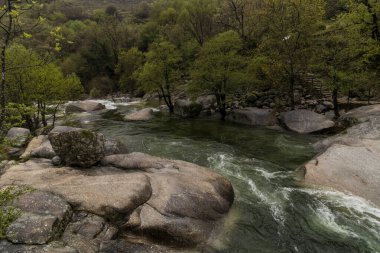 Arouca geopark, Portekiz 'deki kayaların ve ağaçların arasından akan güzel yeşil su nehri.