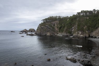 Sakin okyanus suları, bulutlu bir günde, yeşil kaplı uçurumların altındaki kayalık kıyı şeridine çarpar.