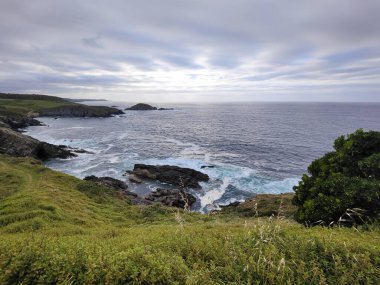 Okyanus dalgaları bulutlu bir gökyüzünün altında kayalık kıyı şeridine çarpıp dramatik bir deniz manzarası yaratıyor.