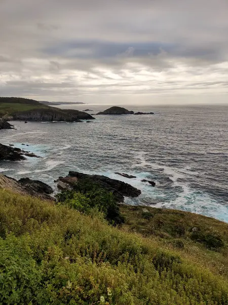 Okyanus dalgaları bulutlu bir günde kayalık kıyılara çarpıyor ve dramatik bir deniz manzarası yaratıyor.