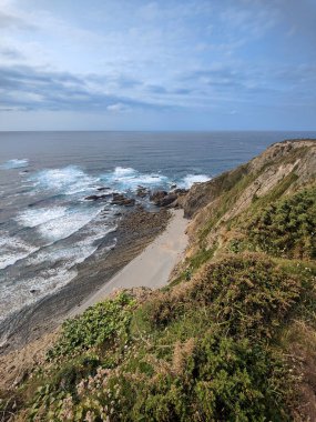 Uçurumun tepesinden sersemletici bir okyanus manzarası canlı bitki örtüsü, çarpan dalgalar ve aşağıdaki resimli plaj.