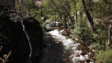 Arouca, Portekiz 'deki kayaların ve yeşil ağaçların arasından akan nehir paiva akıntıları