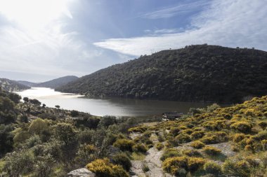 Etrafı yemyeşil bitki örtüsü ve canlı sarı çiçeklerle kaplı tepelerle çevrili vadiyi saran bir nehrin nefes kesici manzarası.