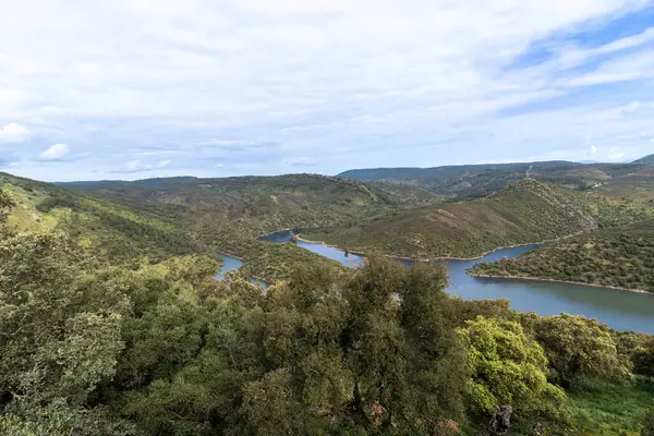 Dolaşan nehir, uluslararası tagus doğal parkındaki yeşil tepeler ve bitki örtüsünden geçiyor.