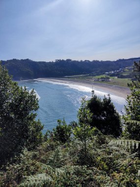 Yeşil yapraklar, parlak mavi su ve İspanya 'da berrak bir gökyüzü ile pitoresk bir sahil manzarasına sahiptir.