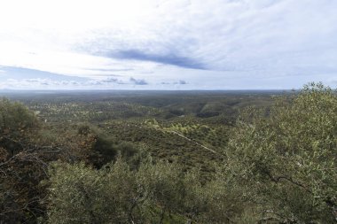 Doğanın güzelliğini gösteren manzaralar. Yuvarlanan tepeler, yemyeşil bitki örtüsü ve bulutlu bir gökyüzü.