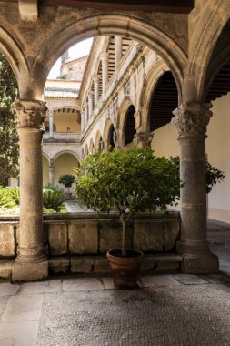 Küçük saksı ağacı eski bir manastır avlusunun sakin atmosferine biraz doğa katıyor.