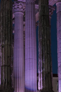 Roma tapınağının flütlü korint sütunları alacakaranlık karanlığına karşı aydınlandı.