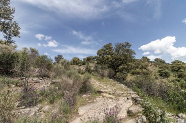 Taco Nehri ile Monfrage Ulusal Parkı manzarası