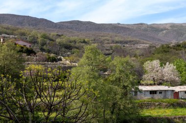 Yuste Vadisi 'nde dağlar, ağaçlar ve geleneksel binalarla ilkbahar sergileniyor.