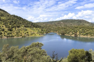 Green hills and forests creating a rich ecosystem in monfrage