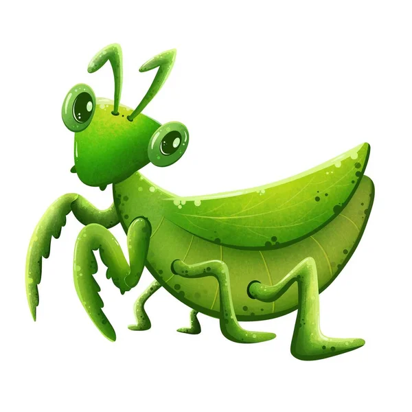 Söt Tecknad Grön Mantis Stående Två Ben Handmålade — Stockfoto