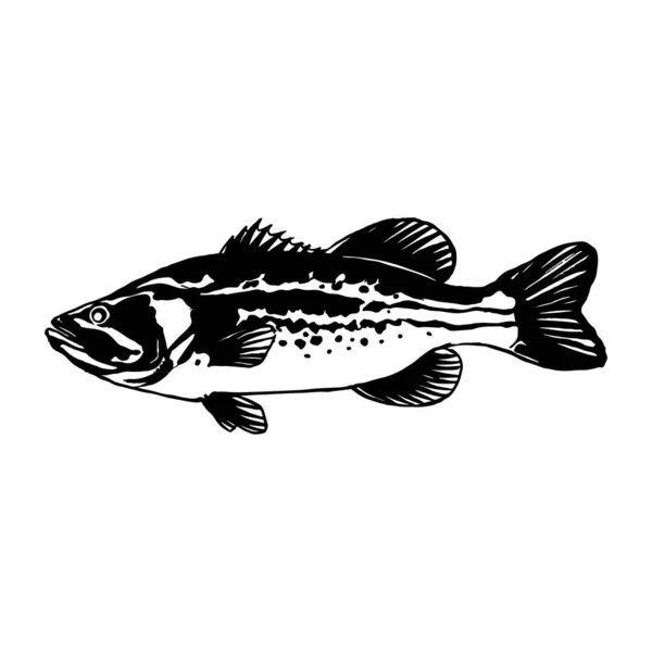 Bass Captura Isca Pesca — Vetor de Stock