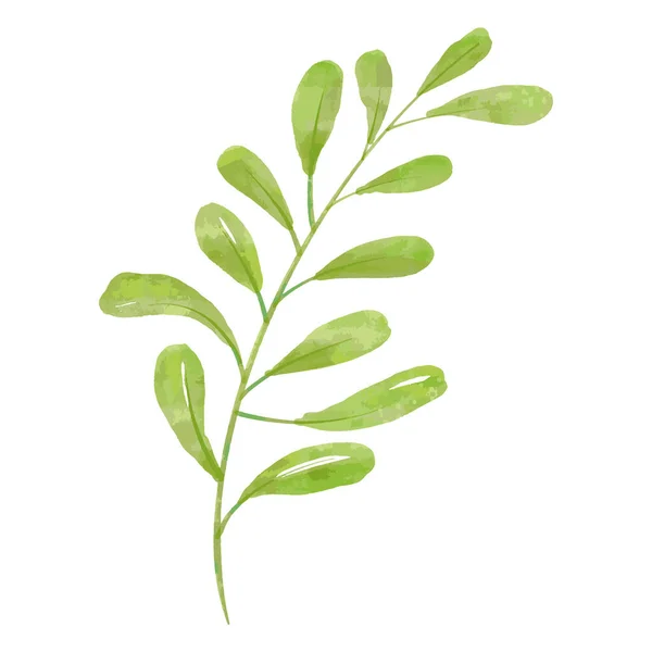 Blomma Illustration Grönt Löv Gren Samling För Stilleben Bröllop Bakgrund — Stock vektor