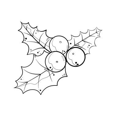 Noel süslemeleri için kutsal meyve ve yapraklar.