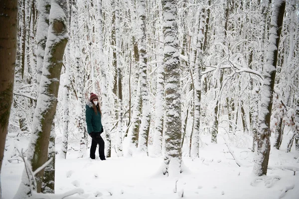 Una Figura Solitaria Encuentra Bosque Cubierto Nieve Con Árboles Cubiertos —  Fotos de Stock