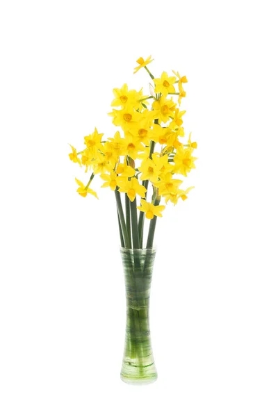 Tete Narciso Tete Flores Dispostas Vaso Isolado Contra Branco — Fotografia de Stock