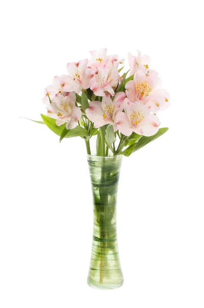 Alstroemeria Çiçekleri Beyaza Karşı Izole Edilmiş Vazoda Sergilenir — Stok fotoğraf