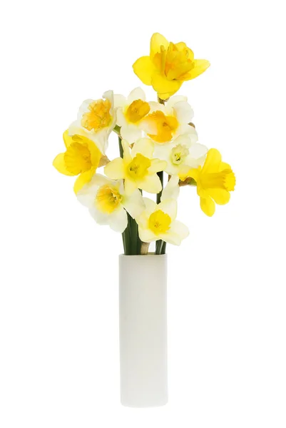 Вибір Різних Квітів Нарцисів Розташованих Вазі Ізольованій Від Білого — стокове фото