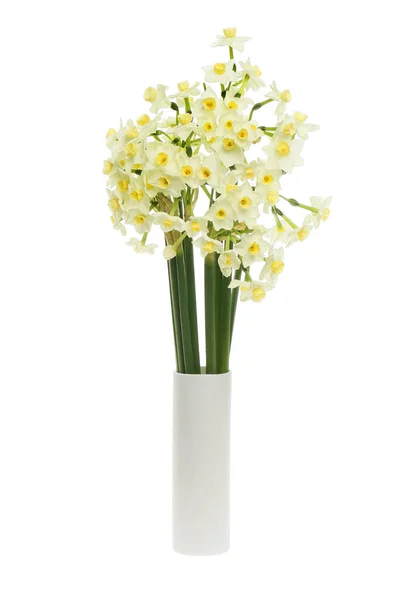Arrangemang Papper Vita Narcissus Blommor Vas Isolerad Mot Vitt — Stockfoto