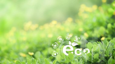 Yenilenebilir enerji ve yeşil enerjide büyüyen ekolojik gelişim. Sosyal yönetim ve etki yatırımları. sürdürülebilir, fon, şeyin interneti, enerji, ai, metin için boş alan.