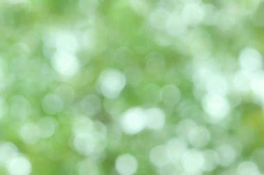 Ormanda, arka plan olarak doğal yeşil bitki manzarası, ekoloji, yeni duvar kağıdı konseptini kullanarak,... soyut doğal yeşil bokeh arkaplanı bulanıklaştırdı..