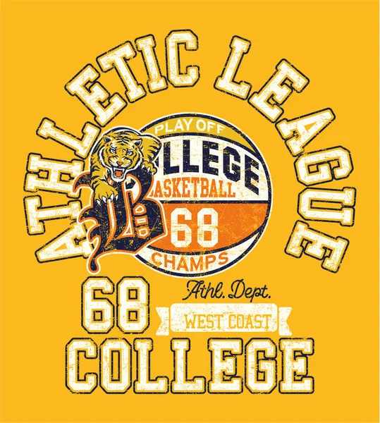 タイガーチーム大学バスケットボール運動部チャンピオンヴィンテージベクトルアートワークのための子供の男の子Tシャツグランジ効果別の層 — ストックベクタ