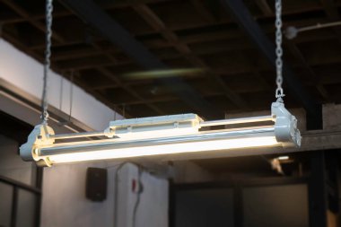 Yaz mevsiminde ev dekorasyonu, stok fotoğrafı.