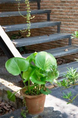 Ev için hava temizleme tesisleri, stok fotoğrafı