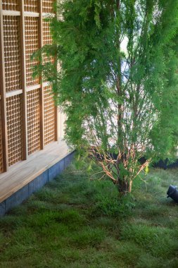 Ahşap yüzeyli modern minimalist oda içi, stok fotoğrafı.