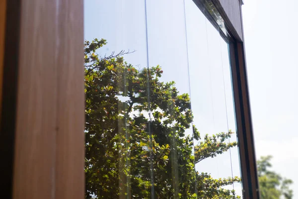 室外玻璃建筑反映热带绿色花园 鱼群照片 — 图库照片