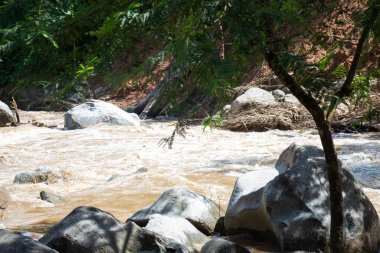 Nehir taşkını dağdan aşağı akıyor, stok fotoğrafı.