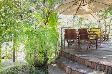 Halk parkındaki yerel yeşil çimenlik alan, stok fotoğrafı.