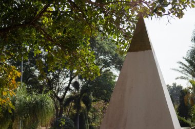 Botanik bahçesi, bitkinin yeşil dalları, stok fotoğrafı.