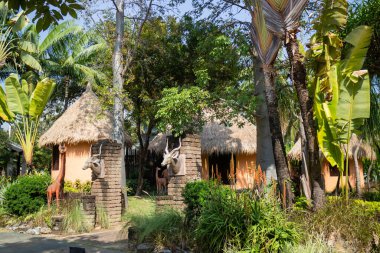 Botanik bahçesi, bitkinin yeşil dalları, stok fotoğrafı.