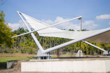 Botanik bahçesi, bitkinin yeşil dalları, stok fotoğrafı.