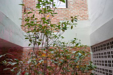 Kafe ya da kafe restoranının iç mimarisi, stok fotoğrafı.