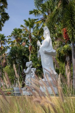Tayland 'ın Chiang Mai bölgesindeki Kraliyet Parkı Rajapruek, stok fotoğrafı.