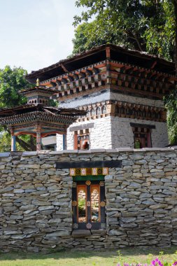 Botanik bahçesi, bitkinin yeşil dalları, stok fotoğrafı.